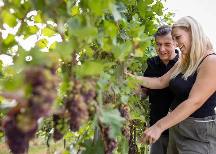 Weingut Dietl