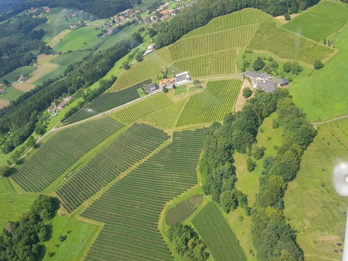 Apartment Weingut Dietl