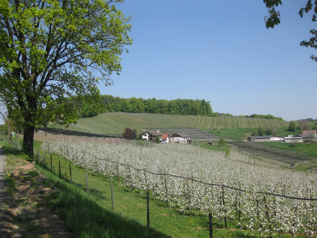 Weingut Dietl Apartment Riegersburg