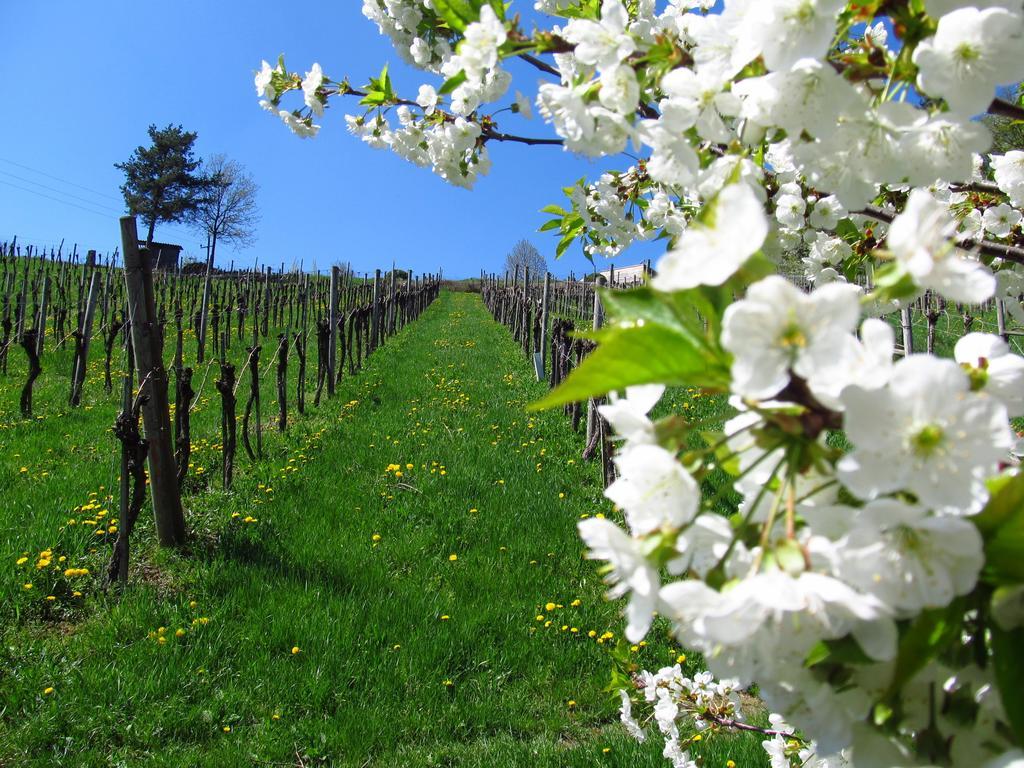 Weingut Dietl *