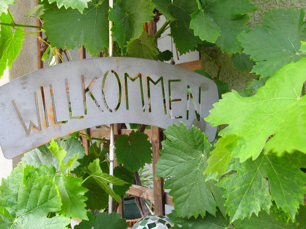 Weingut Dietl Apartment *