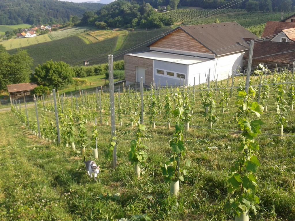 Weingut Dietl *