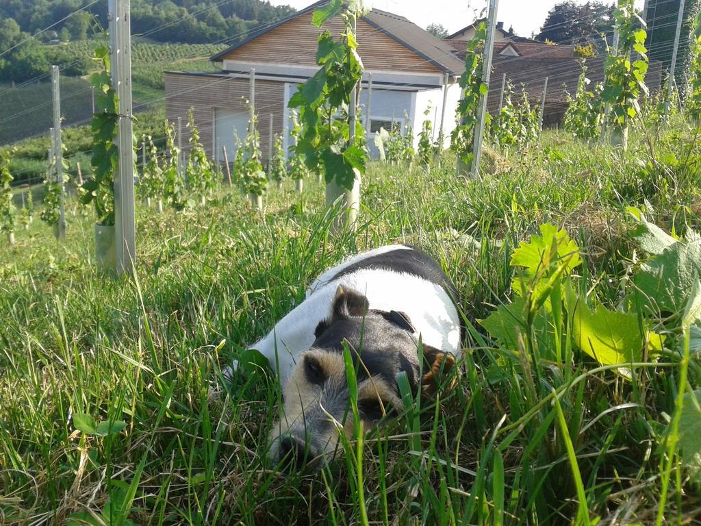 Weingut Dietl *