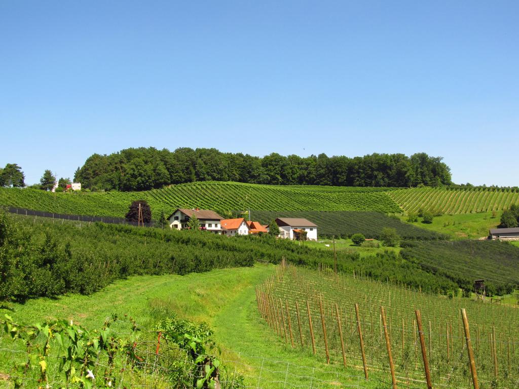 Weingut Dietl Apartment Riegersburg
