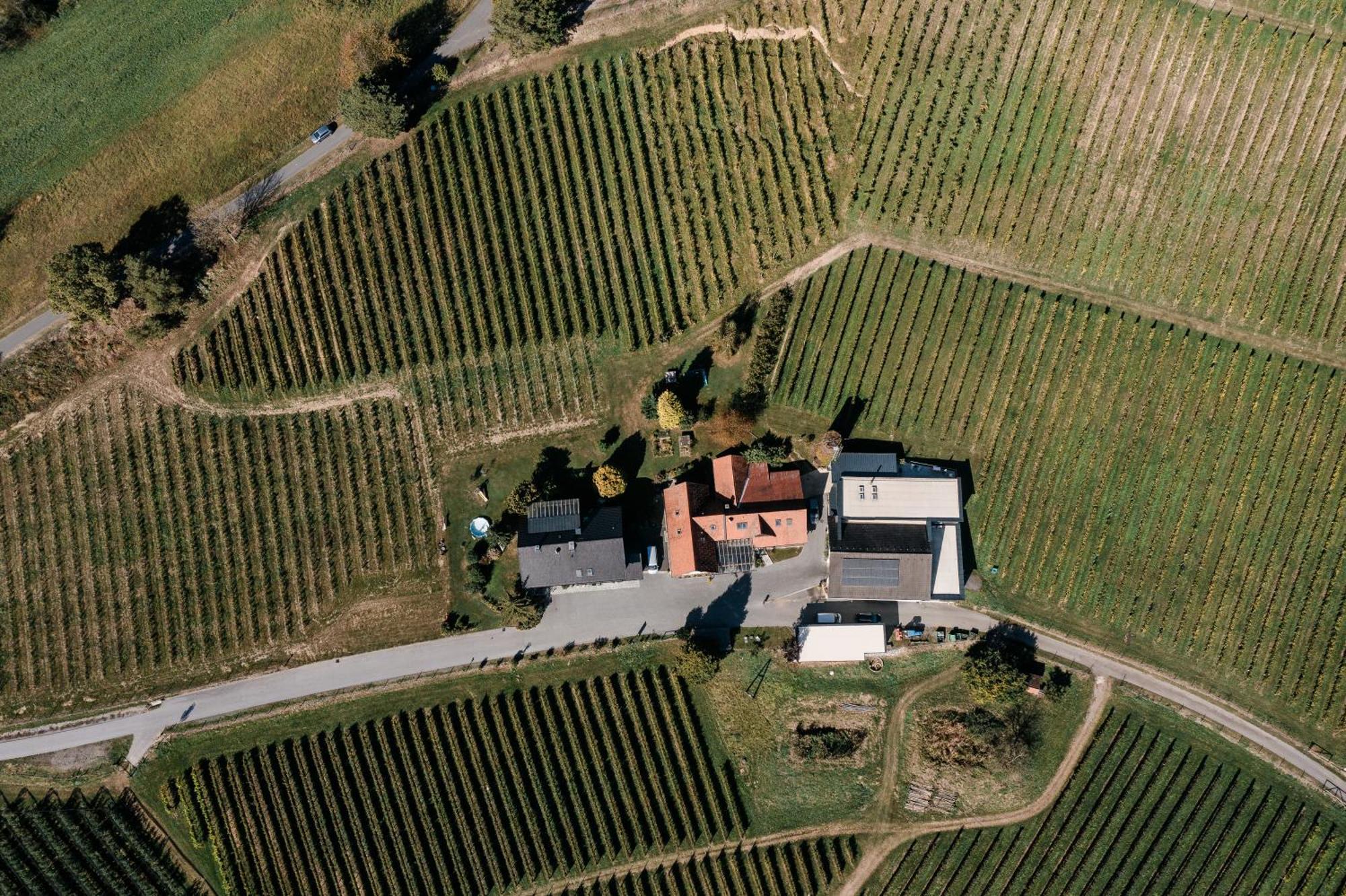 Apartment Weingut Dietl *