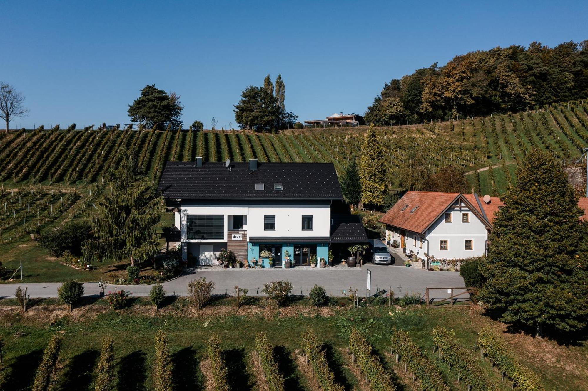 Apartment Weingut Dietl Riegersburg