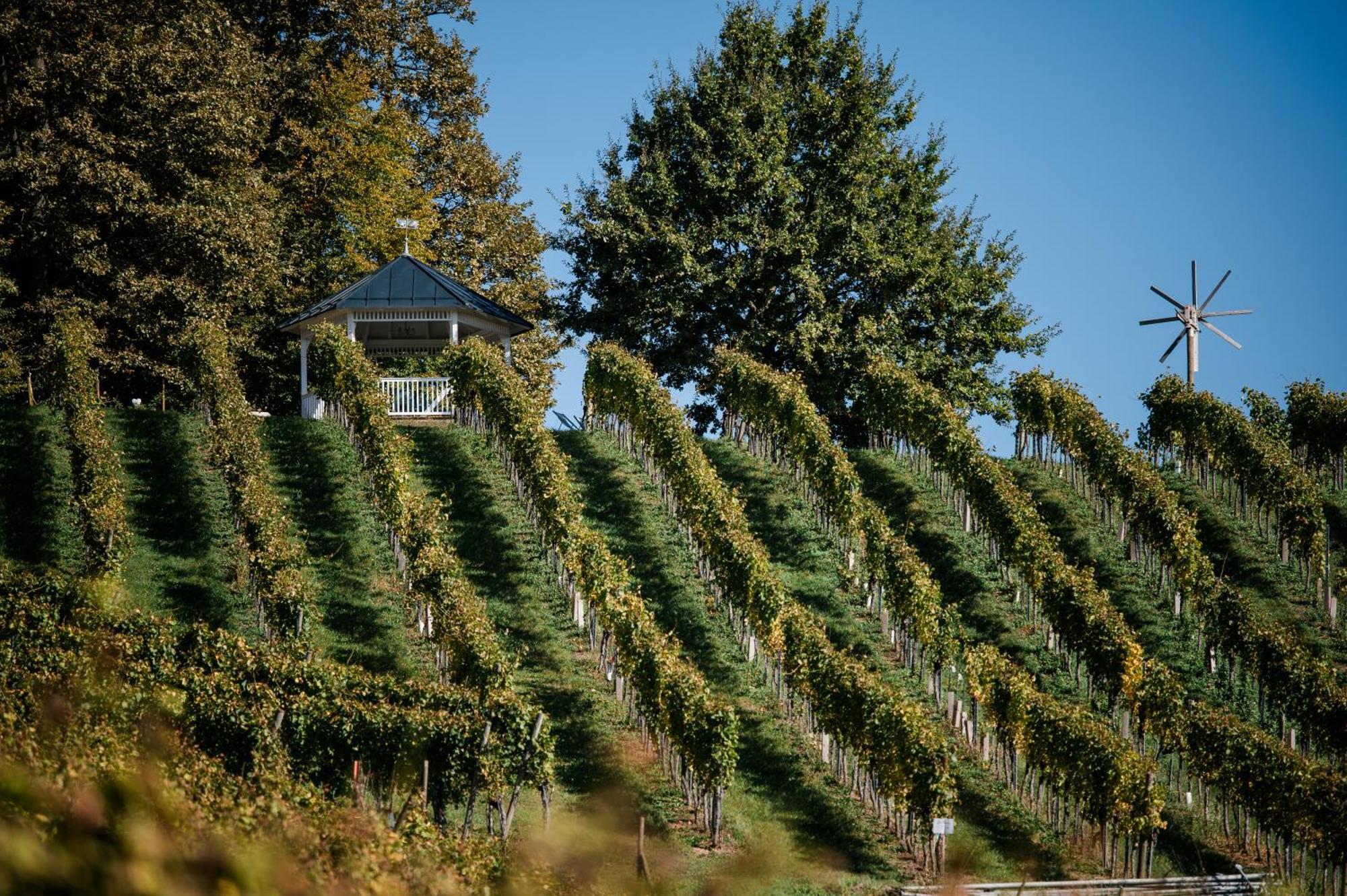Weingut Dietl Apartment
