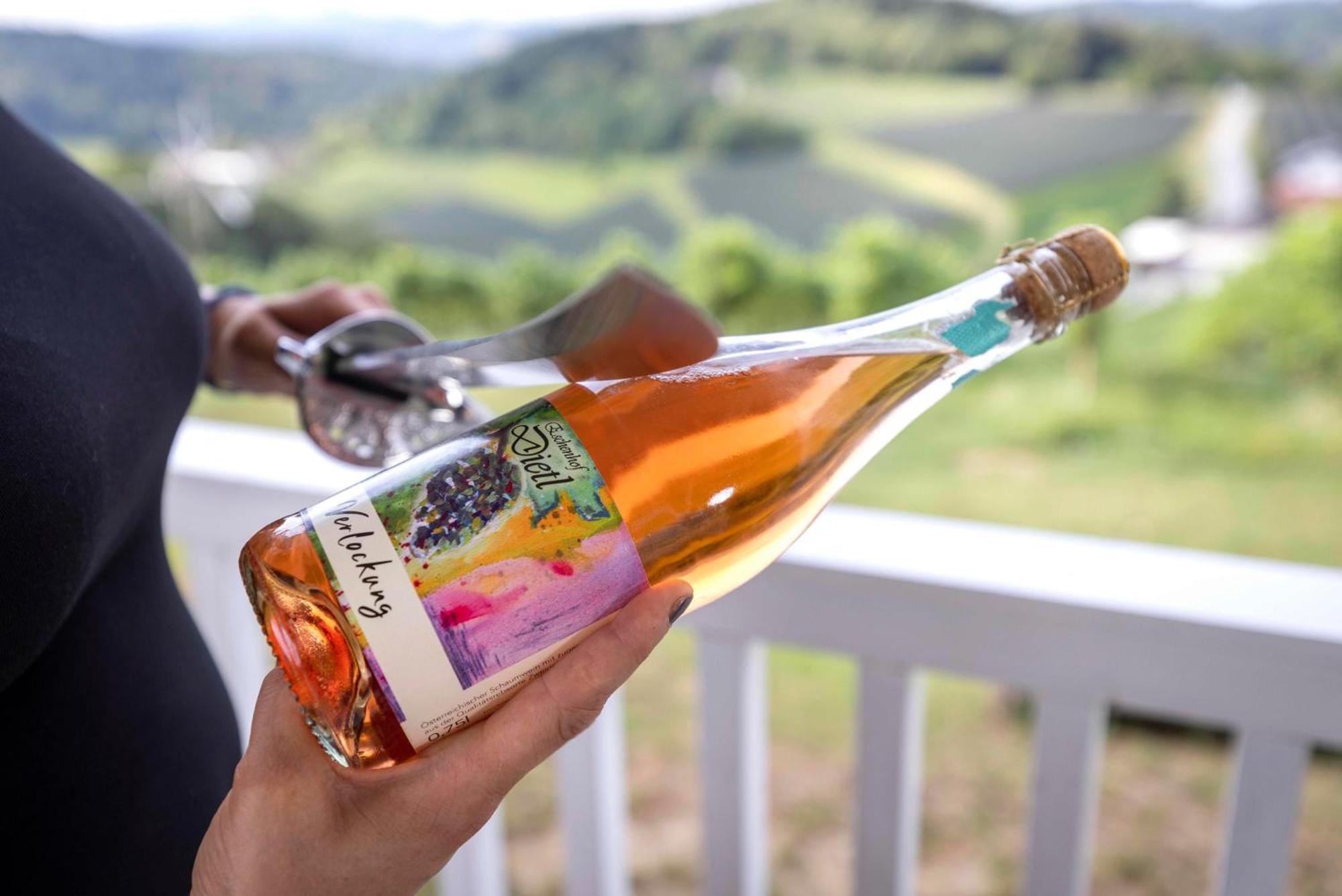 Weingut Dietl Apartment