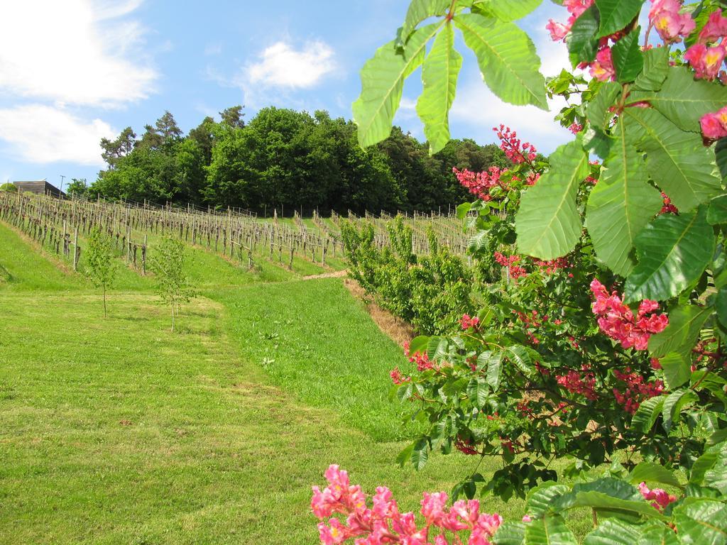Weingut Dietl Riegersburg
